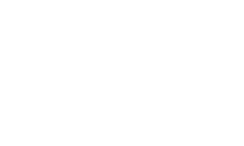 SERVE